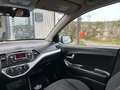 Kia Picanto Titan - 1. BESITZ - NUR 15.000 KM - PENSIONISTE... Grijs - thumbnail 14