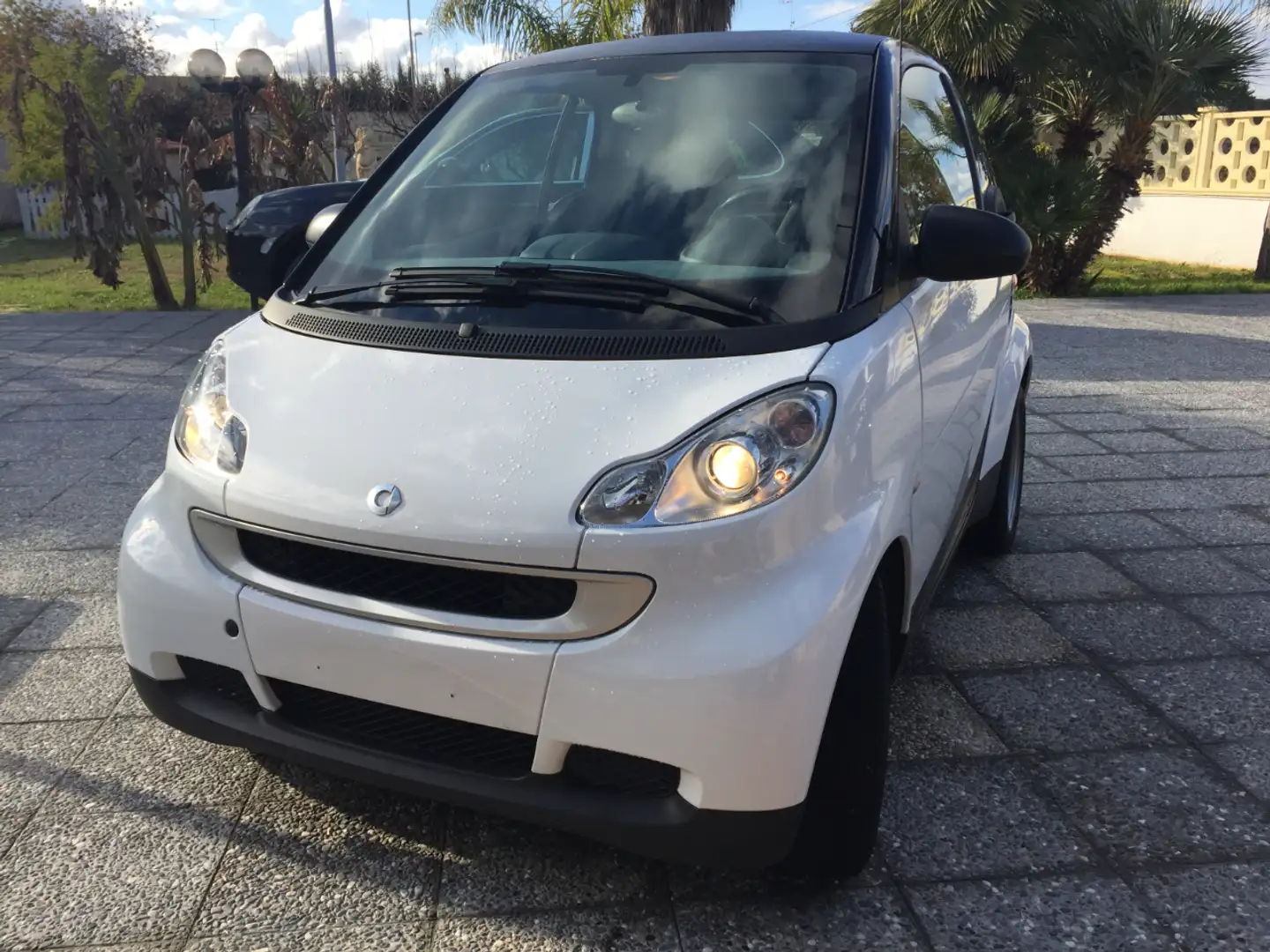 smart forTwo pure Bianco - 1