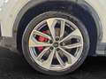 Audi SQ2 TFSI S tronic quattro AHK Matrix Audi Smartphon... Alb - thumbnail 5