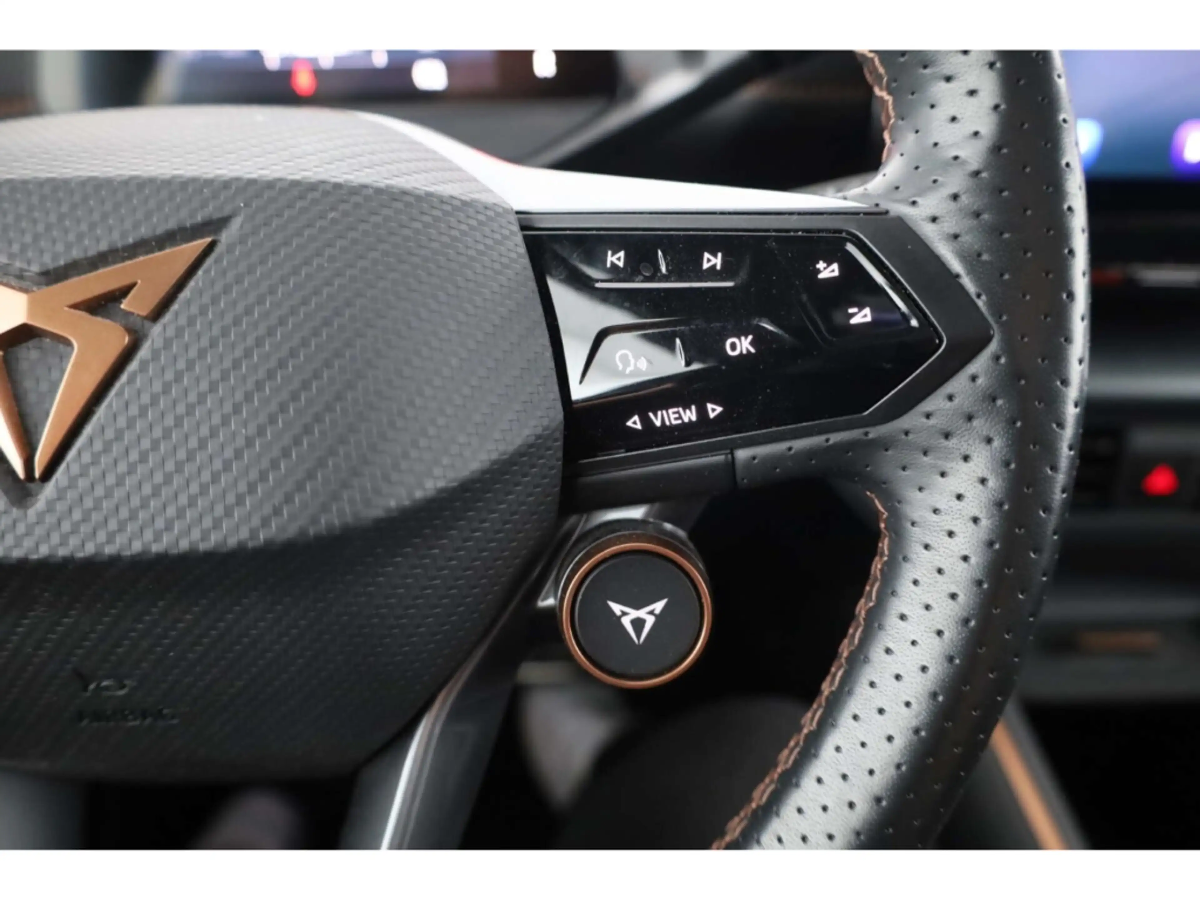 CUPRA Born 62 kWh P-Dach/Navi/LED/ACC/Kessy/Kamera — photo 15
