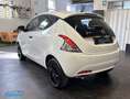 Lancia Ypsilon 1.2 Elefantino Blu *NEOPATENTATI OK* Bianco - thumbnail 5