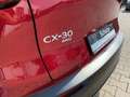 Mazda CX-30 SKYACTIV-X Selection AWD Design-Paket Rot - thumbnail 11