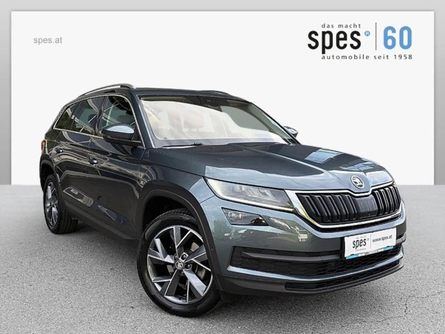 Skoda Kodiaq Kodiaq Grau - 1