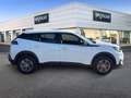 Peugeot 2008 BlueHDi 110 S&S Active Pack Bianco - thumbnail 4