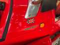 Westfield SE SUPER SEVEN HURICANE RACE ENGINE Super sprint 7 #B Czerwony - thumbnail 32