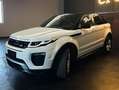 Land Rover Range Rover Evoque Range Rover Evoque I 2016 5p 2.0 td4 HSE Dynamic Bianco - thumbnail 6