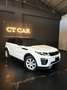 Land Rover Range Rover Evoque Range Rover Evoque I 2016 5p 2.0 td4 HSE Dynamic Bianco - thumbnail 13