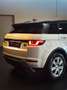 Land Rover Range Rover Evoque Range Rover Evoque I 2016 5p 2.0 td4 HSE Dynamic Bianco - thumbnail 11