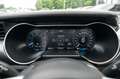 Ford Mustang GT 5,0 500 SHELBY LCD/LED/PREMIUM/SPUR Grijs - thumbnail 23