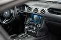Ford Mustang GT 5,0 500 SHELBY LCD/LED/PREMIUM/SPUR Grijs - thumbnail 21
