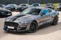 Ford Mustang GT 5,0 500 SHELBY LCD/LED/PREMIUM/SPUR Grijs - thumbnail 10