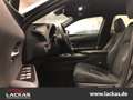Lexus UX 250h STYLE*LED*CARPLAY*SHZ*FACELIFT*GARANTIE Schwarz - thumbnail 7