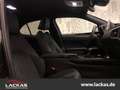 Lexus UX 250h STYLE*LED*CARPLAY*SHZ*FACELIFT*GARANTIE Schwarz - thumbnail 13