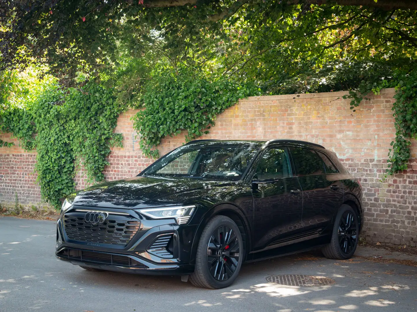 Audi Q8 e-tron 55 quattro S line | 22kW LADEN | FULL OPT | -43% Zwart - 1