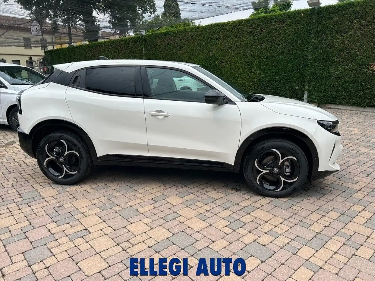 Alfa Romeo Junior