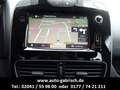 Renault Clio Limited,NAVI,TEMPOMAT,ALU,BLUETOOTH,SERVO,ZENTRAL Grau - thumbnail 12