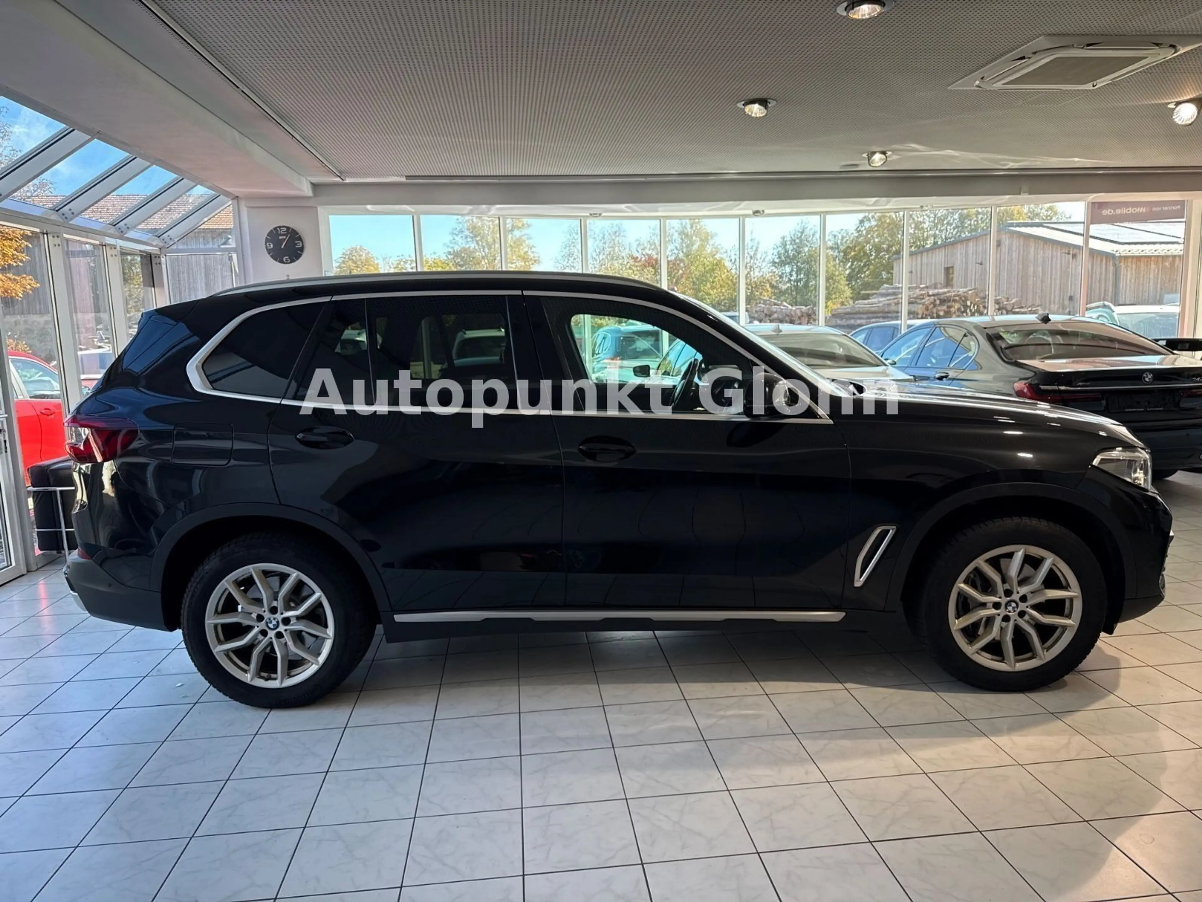BMW X5 xDrive 30 d xLine|HUD|AHK|4xSHZ|Laser|SoftCl. — photo 6