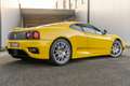 Ferrari 360 Challenge Stradale F1 - Giallo Modena - Lexan Wind Geel - thumbnail 49