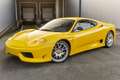 Ferrari 360 Challenge Stradale F1 - Giallo Modena - Lexan Wind Geel - thumbnail 26