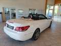 Mercedes-Benz E 220 CDI Aut. Cabrio Weiß - thumbnail 5