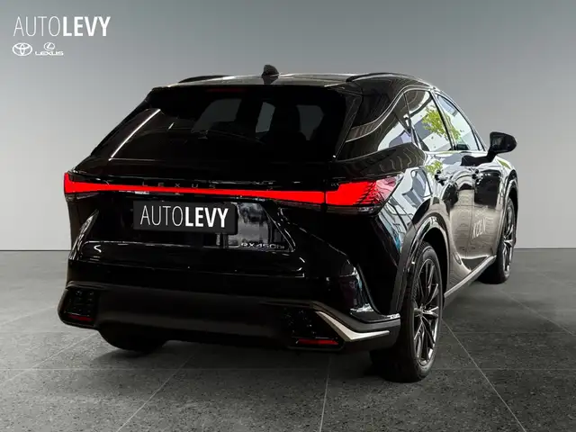 Lexus RX view 6