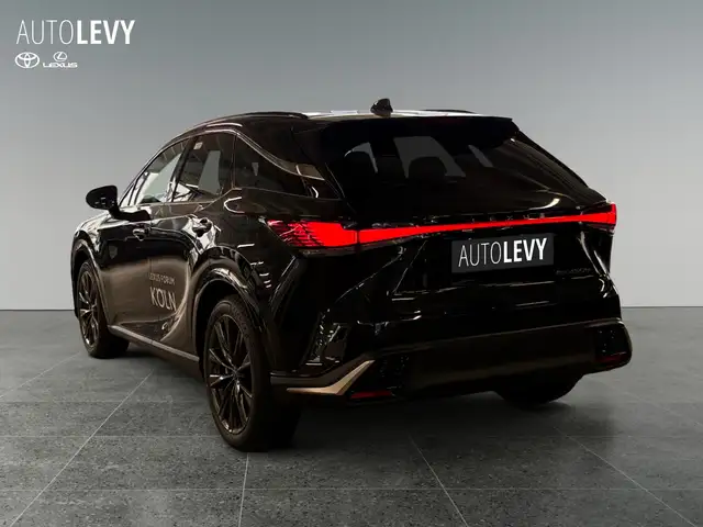 Lexus RX view 4