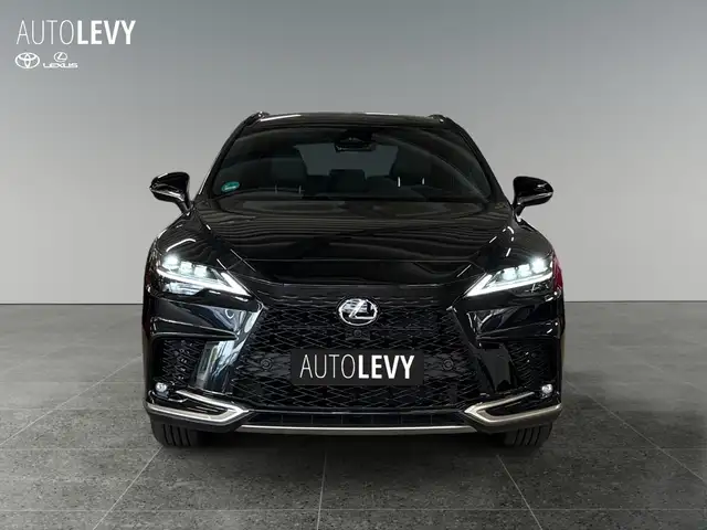 Lexus RX view 9