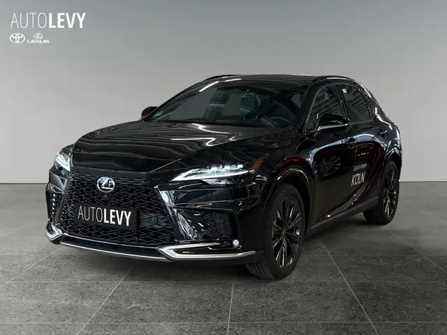 Lexus RX view 2