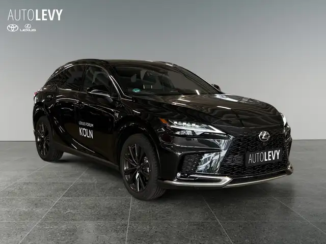 Lexus RX view 8