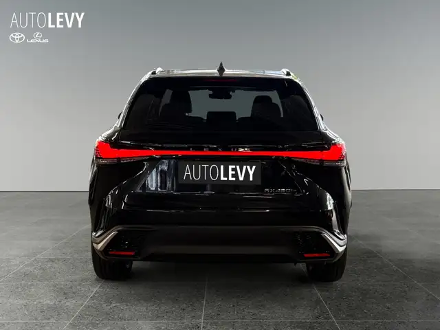 Lexus RX view 5
