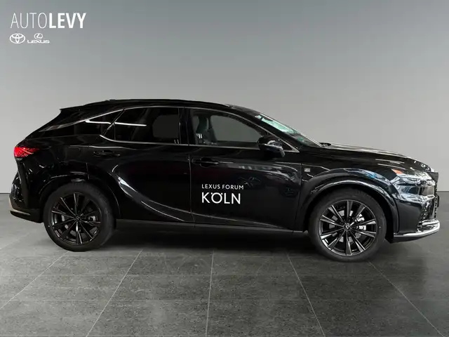 Lexus RX view 7