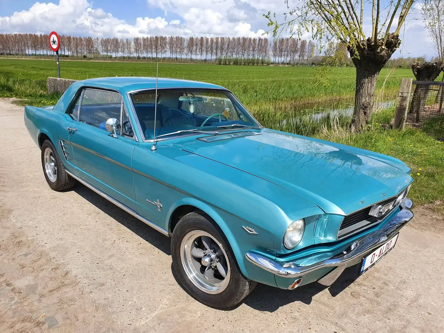 Oldtimer Ford Coupe 5.0l v8  289 blok Grün - 1