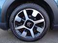 Citroen C4 Cactus PureTech 110 S&S Shine Blu/Azzurro - thumbnail 12