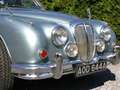 Jaguar Daimler Daimler V8 250   1963 Bleu - thumbnail 3