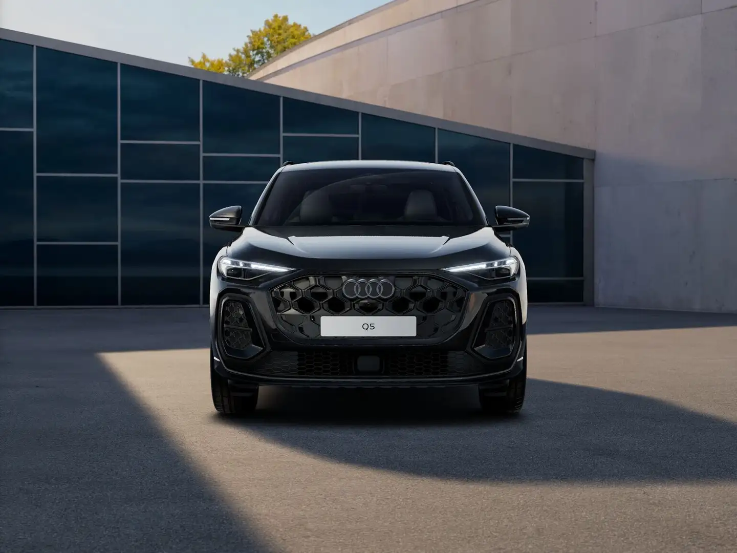 Audi Q5 40 TDI 204 CV quattro S tronic S line Negro - 2