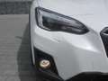 Subaru XV 1.6i COMFORT*4X4*GARANTIE BIS 11/2026*WENIG KM*LED Blanc - thumbnail 11