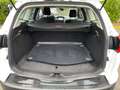 Ford Focus Turnier Business Automatk Neuer Motor Weiß - thumbnail 14