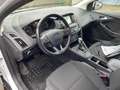 Ford Focus Turnier Business Automatk Neuer Motor Weiß - thumbnail 9