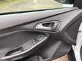 Ford Focus Turnier Business Automatk Neuer Motor Weiß - thumbnail 10