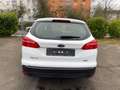 Ford Focus Turnier Business Automatk Neuer Motor Weiß - thumbnail 6