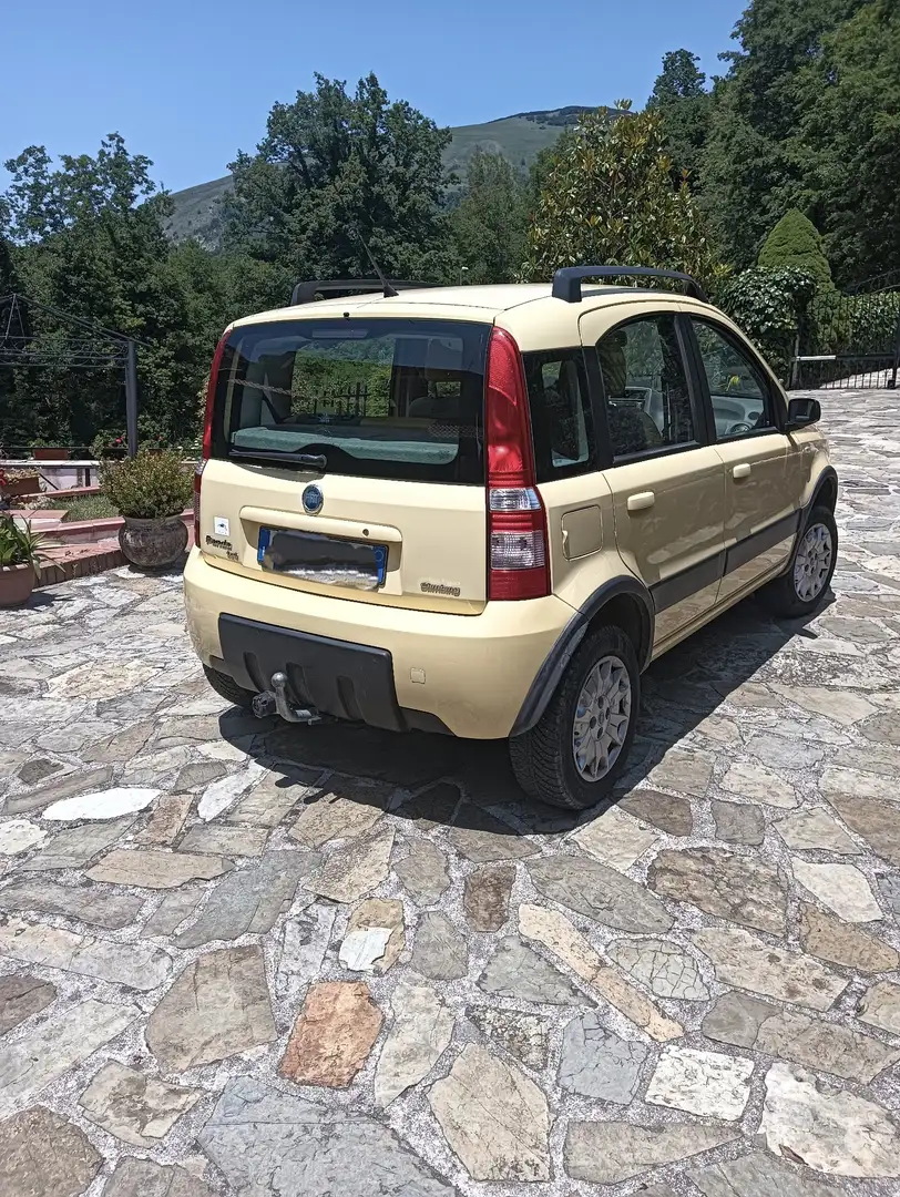 Fiat Panda 1.2 Climbing 4x4 - 1
