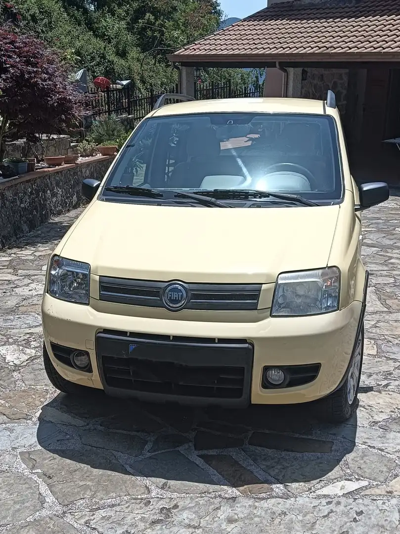 Fiat Panda 1.2 Climbing 4x4 - 2