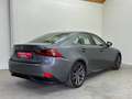 Lexus IS 300 300h F Sport Line Schitterend ! Grijs - thumbnail 15