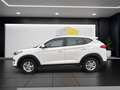 Hyundai TUCSON Trend 2WD Mehrzonenklima Fahrerprofil DAB SHZ Lenk Wit - thumbnail 2