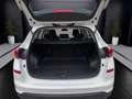 Hyundai TUCSON Trend 2WD Mehrzonenklima Fahrerprofil DAB SHZ Lenk Wit - thumbnail 18