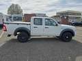 Ford Ranger Ranger Pick Up 4x4 TÜV Neu Weiß - thumbnail 8