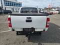Ford Ranger Ranger Pick Up 4x4 TÜV Neu Weiß - thumbnail 5