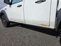 Ford Ranger Ranger Pick Up 4x4 TÜV Neu Weiß - thumbnail 9