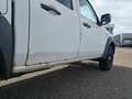Ford Ranger Ranger Pick Up 4x4 TÜV Neu Weiß - thumbnail 10