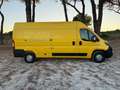 Fiat Ducato 33 2.3 MJT 120CV PM-TM Furgone Jaune - thumbnail 4